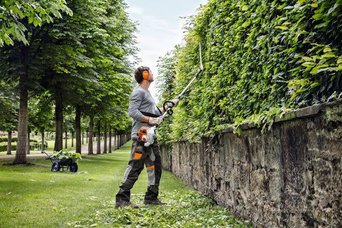 Premium Long Reach Hedge Trimmer